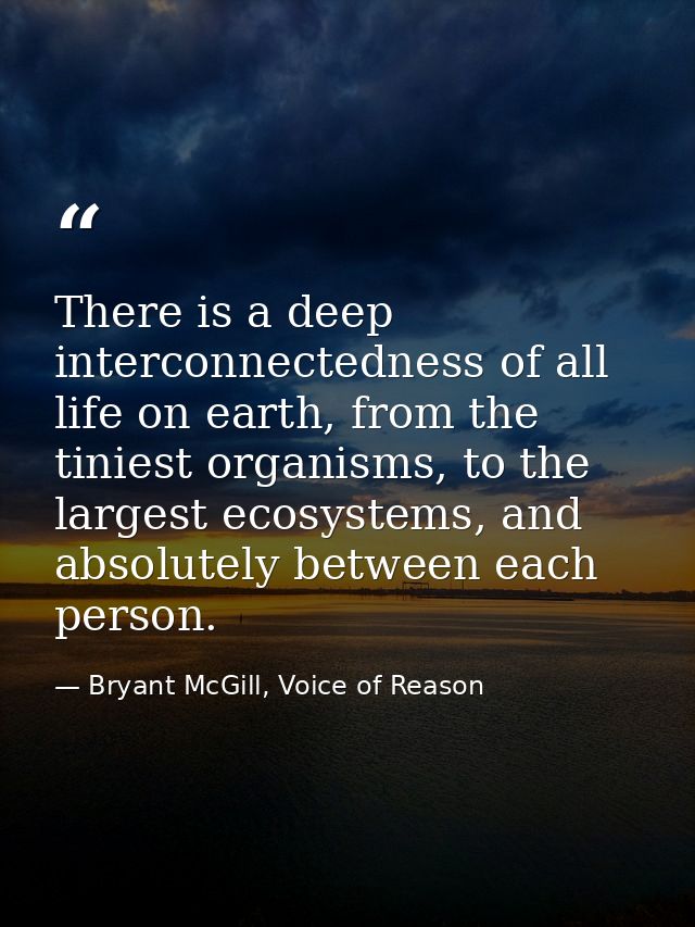 There is a deep interconnectedness of all life on earth, from the tiniest organisms, to the largest ecosystems, and abso — Bryant McGill, Voice of Reason