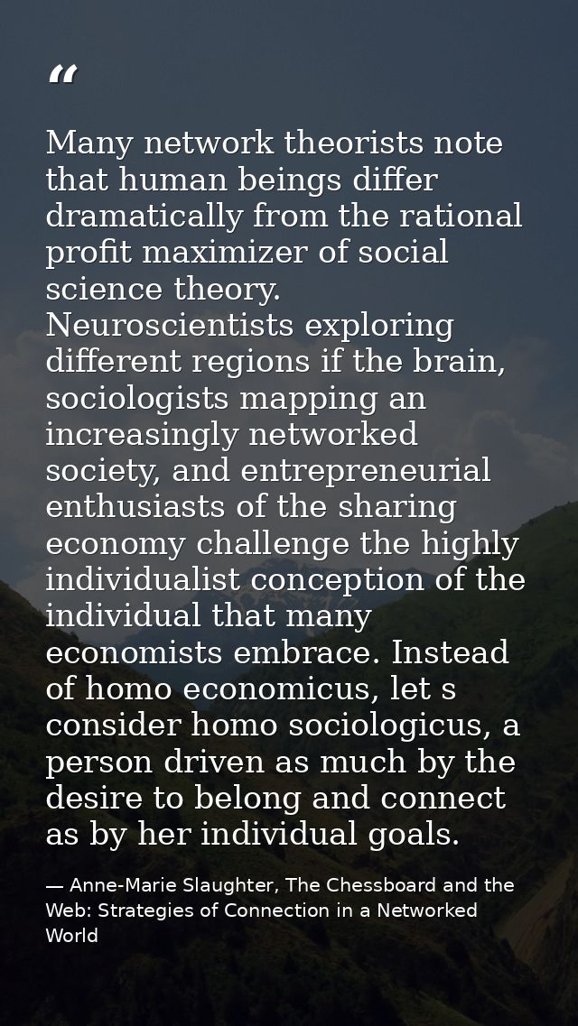 Many network theorists note that human beings differ dramatically from the rational profit maximizer of social science t — Anne-Marie Slaughter, The Chessboard and the Web: Strategies of Connection in a Networked World