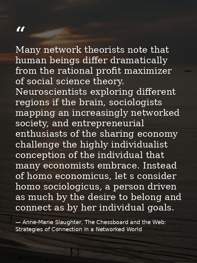 Many network theorists note that human beings differ dramatically from the rational profit maximizer of social science t — Anne-Marie Slaughter, The Chessboard and the Web: Strategies of Connection in a Networked World
