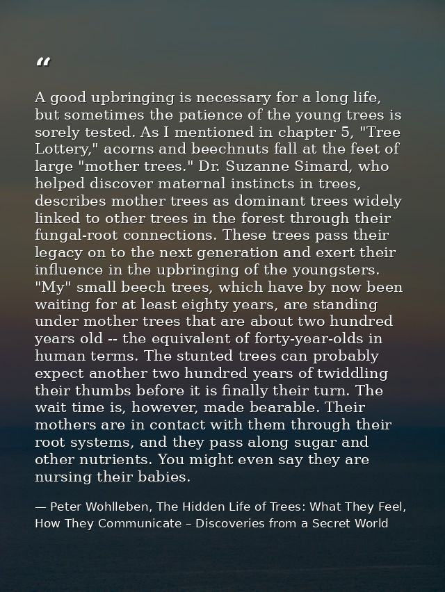 A good upbringing is necessary for a long life, but sometimes the patience of the young trees is sorely tested. As I men — Peter Wohlleben, The Hidden Life of Trees: What They Feel, How They Communicate – Discoveries from a Secret World