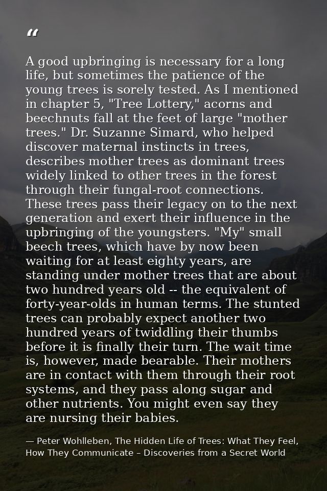 A good upbringing is necessary for a long life, but sometimes the patience of the young trees is sorely tested. As I men — Peter Wohlleben, The Hidden Life of Trees: What They Feel, How They Communicate – Discoveries from a Secret World