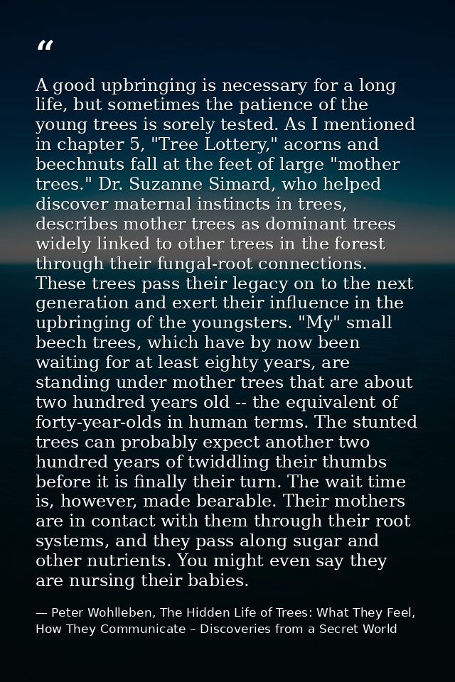 A good upbringing is necessary for a long life, but sometimes the patience of the young trees is sorely tested. As I men — Peter Wohlleben, The Hidden Life of Trees: What They Feel, How They Communicate – Discoveries from a Secret World