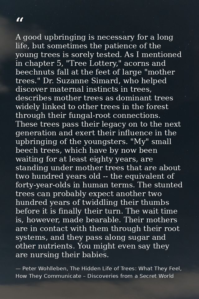 A good upbringing is necessary for a long life, but sometimes the patience of the young trees is sorely tested. As I men — Peter Wohlleben, The Hidden Life of Trees: What They Feel, How They Communicate – Discoveries from a Secret World