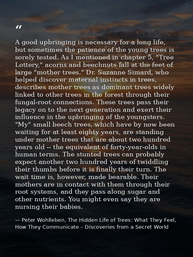 A good upbringing is necessary for a long life, but sometimes the patience of the young trees is sorely tested. As I men — Peter Wohlleben, The Hidden Life of Trees: What They Feel, How They Communicate – Discoveries from a Secret World