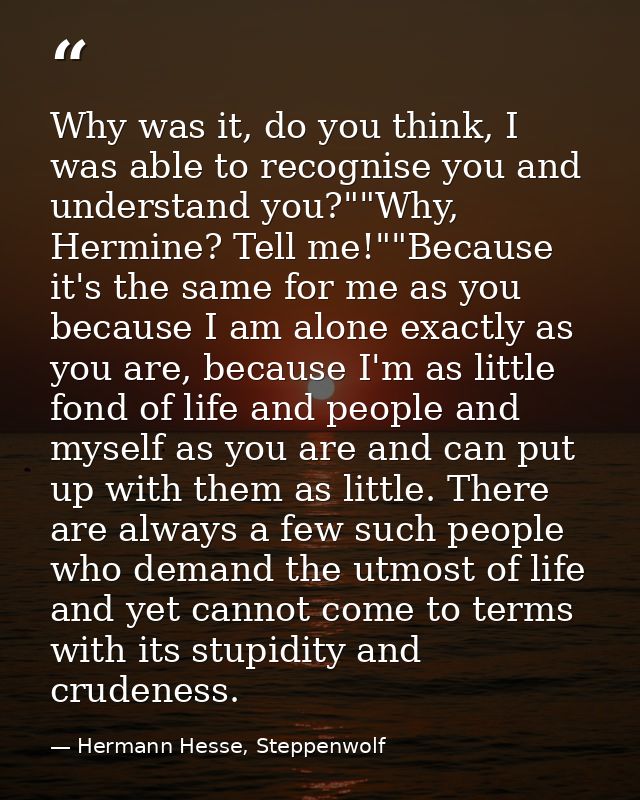 Why was it, do you think, I was able to recognise you and understand you?""Why, Hermine? Tell me!""Because it's the same — Hermann Hesse, Steppenwolf