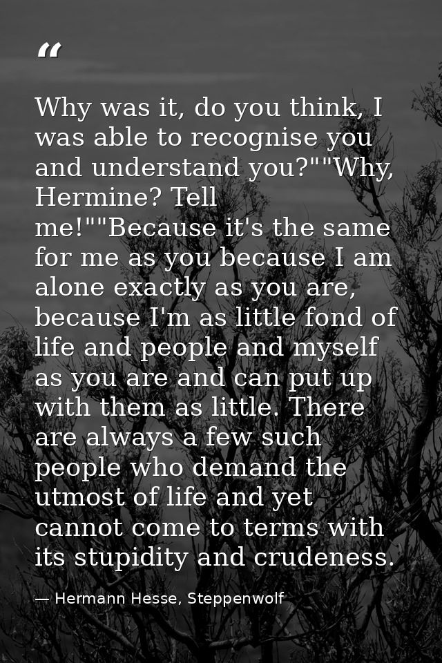 Why was it, do you think, I was able to recognise you and understand you?""Why, Hermine? Tell me!""Because it's the same — Hermann Hesse, Steppenwolf