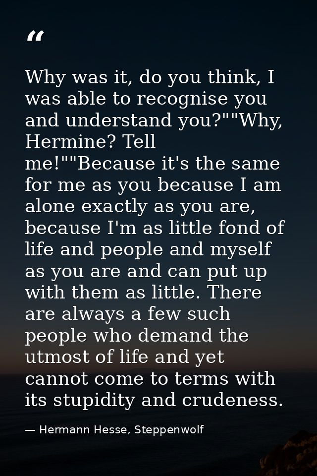 Why was it, do you think, I was able to recognise you and understand you?""Why, Hermine? Tell me!""Because it's the same — Hermann Hesse, Steppenwolf