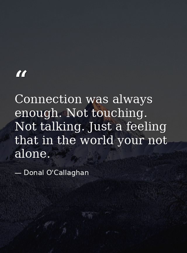 Connection was always enough. Not touching. Not talking. Just a feeling that in the world your not alone. — Donal O'Callaghan