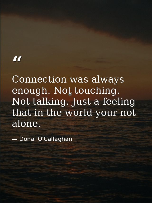 Connection was always enough. Not touching. Not talking. Just a feeling that in the world your not alone. — Donal O'Callaghan