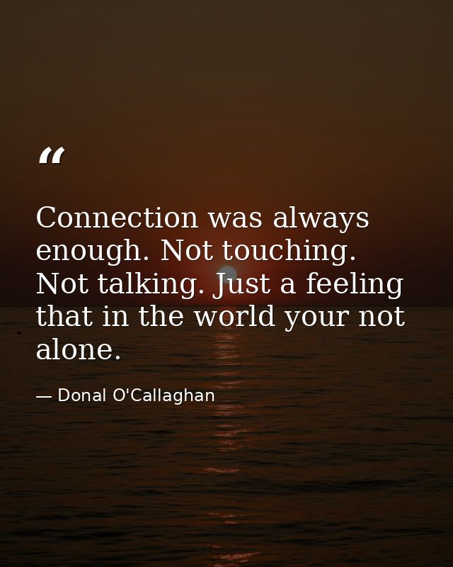 Connection was always enough. Not touching. Not talking. Just a feeling that in the world your not alone. — Donal O'Callaghan