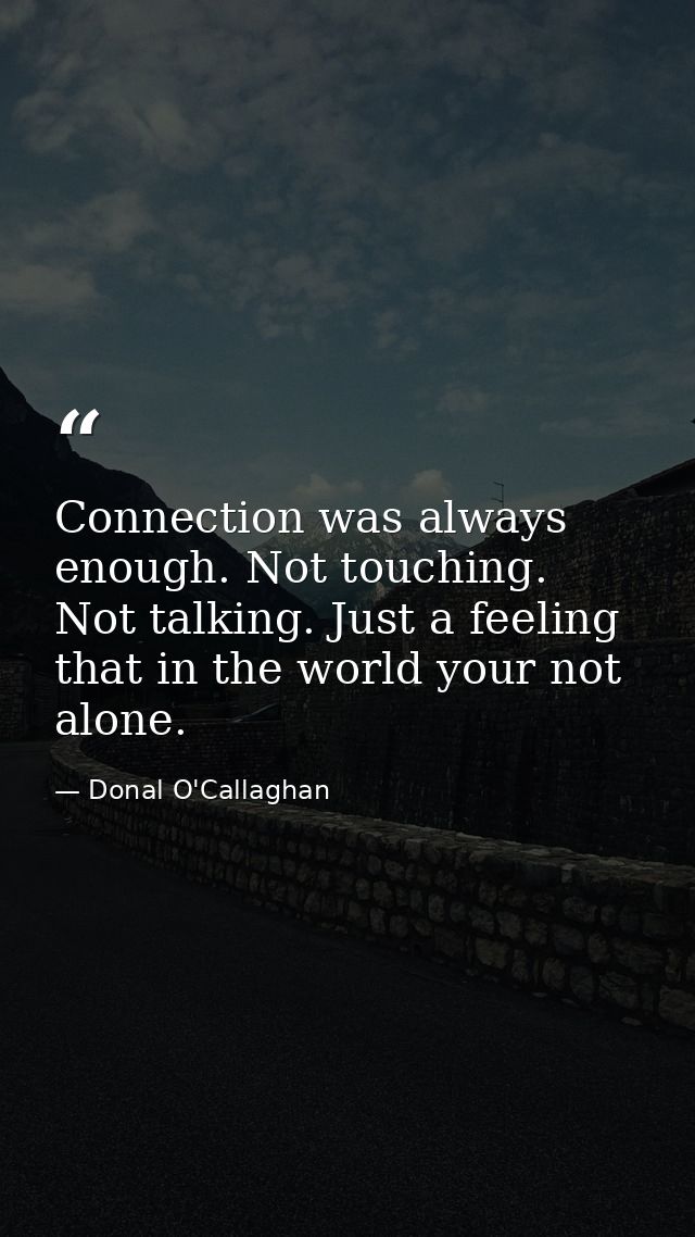 Connection was always enough. Not touching. Not talking. Just a feeling that in the world your not alone. — Donal O'Callaghan