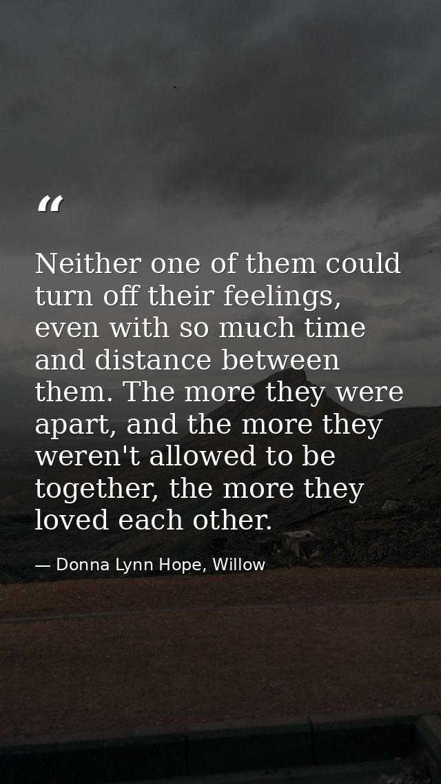 Neither one of them could turn off their feelings, even with so much time and distance between them. The more they were  — Donna Lynn Hope, Willow