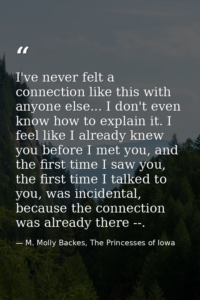 I've never felt a connection like this with anyone else... I don't even know how to explain it. I feel like I already kn — M. Molly Backes, The Princesses of Iowa