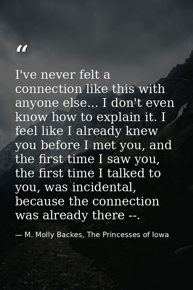 I've never felt a connection like this with anyone else... I don't even know how to explain it. I feel like I already kn — M. Molly Backes, The Princesses of Iowa