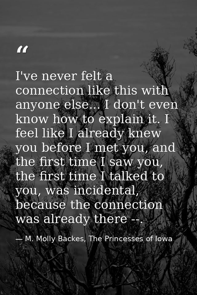 I've never felt a connection like this with anyone else... I don't even know how to explain it. I feel like I already kn — M. Molly Backes, The Princesses of Iowa