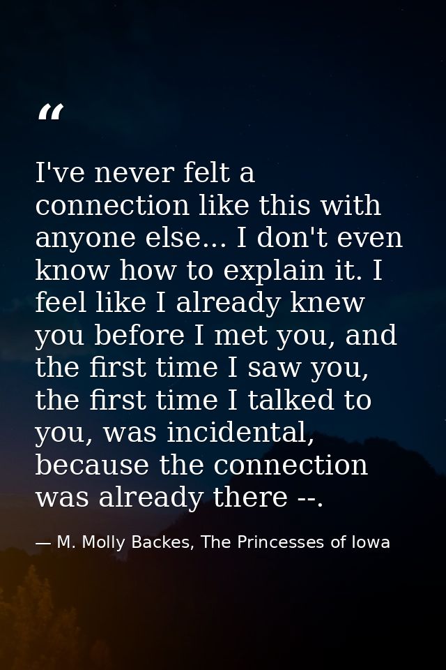 I've never felt a connection like this with anyone else... I don't even know how to explain it. I feel like I already kn — M. Molly Backes, The Princesses of Iowa