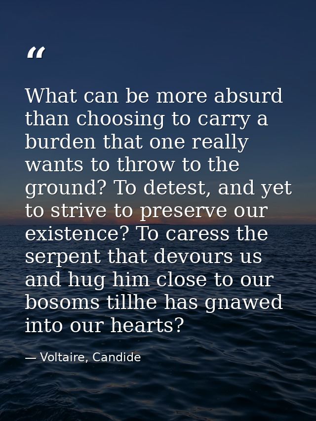 What can be more absurd than choosing to carry a burden that one really wants to throw to the ground? To detest, and yet — Voltaire, Candide