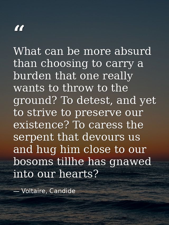 What can be more absurd than choosing to carry a burden that one really wants to throw to the ground? To detest, and yet — Voltaire, Candide