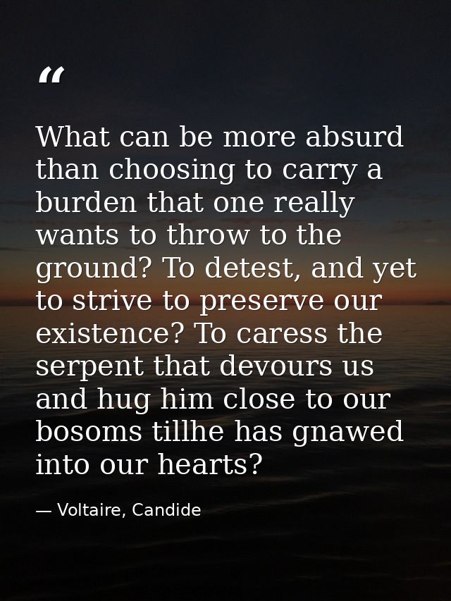 What can be more absurd than choosing to carry a burden that one really wants to throw to the ground? To detest, and yet — Voltaire, Candide