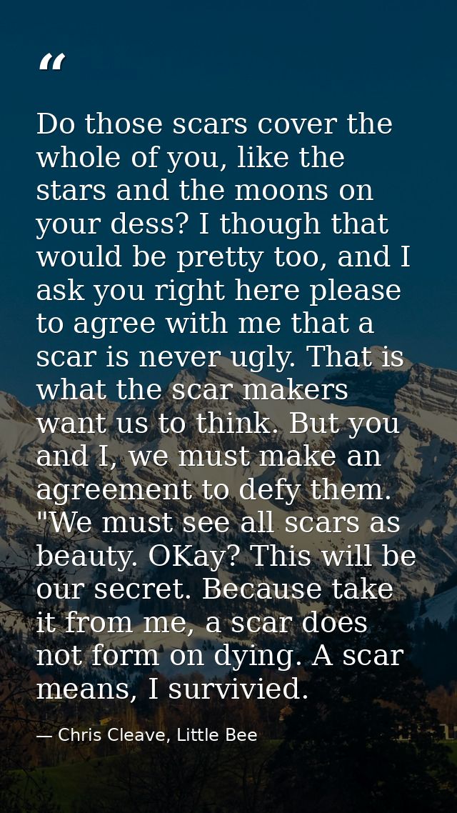 Do those scars cover the whole of you, like the stars and the moons on your dess? I though that would be pretty too, and — Chris Cleave, Little Bee