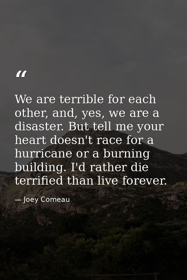 We are terrible for each other, and, yes, we are a disaster. But tell me your heart doesn't race for a hurricane or a bu — Joey Comeau