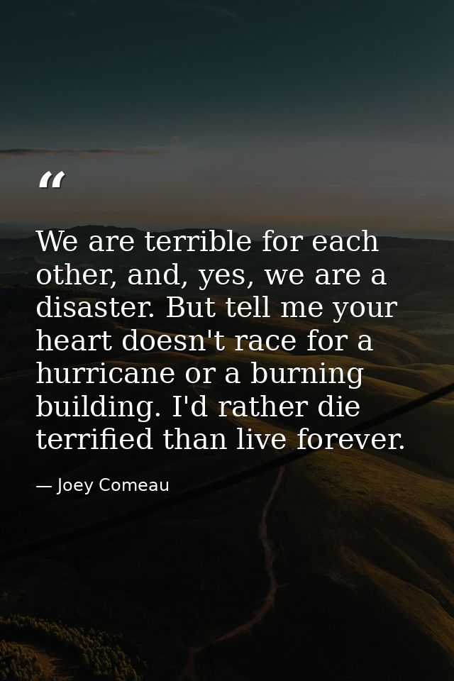 We are terrible for each other, and, yes, we are a disaster. But tell me your heart doesn't race for a hurricane or a bu — Joey Comeau