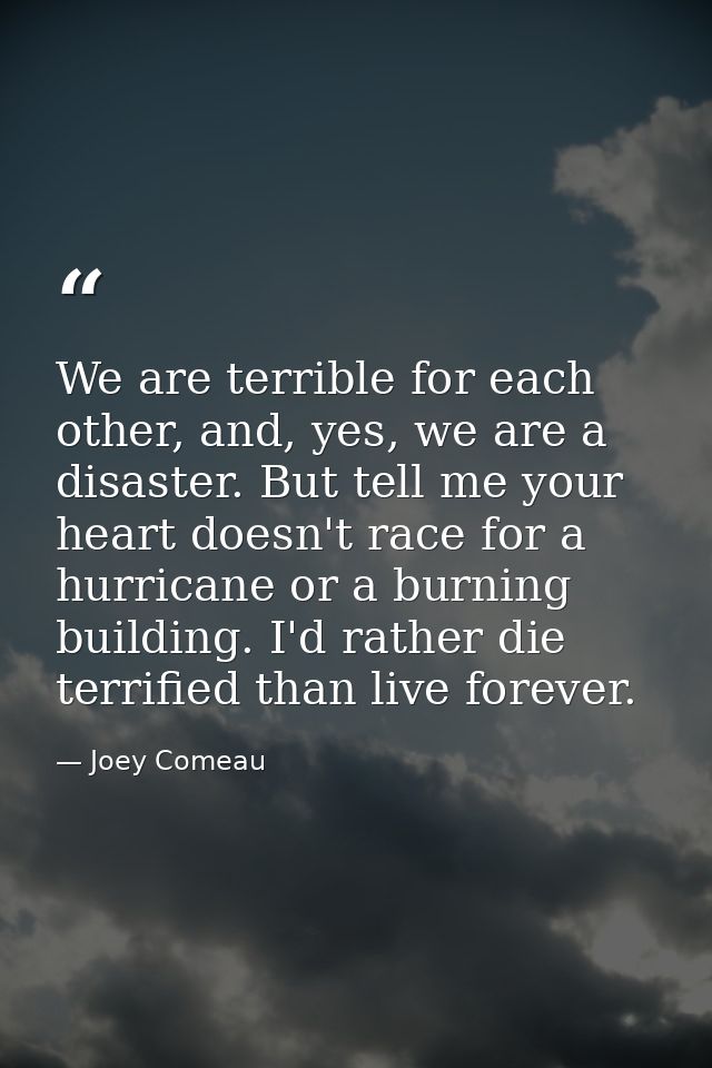 We are terrible for each other, and, yes, we are a disaster. But tell me your heart doesn't race for a hurricane or a bu — Joey Comeau