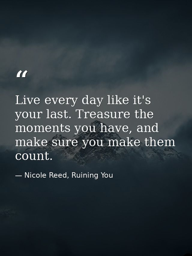 Live every day like it's your last. Treasure the moments you have, and make sure you make them count. — Nicole Reed, Ruining You