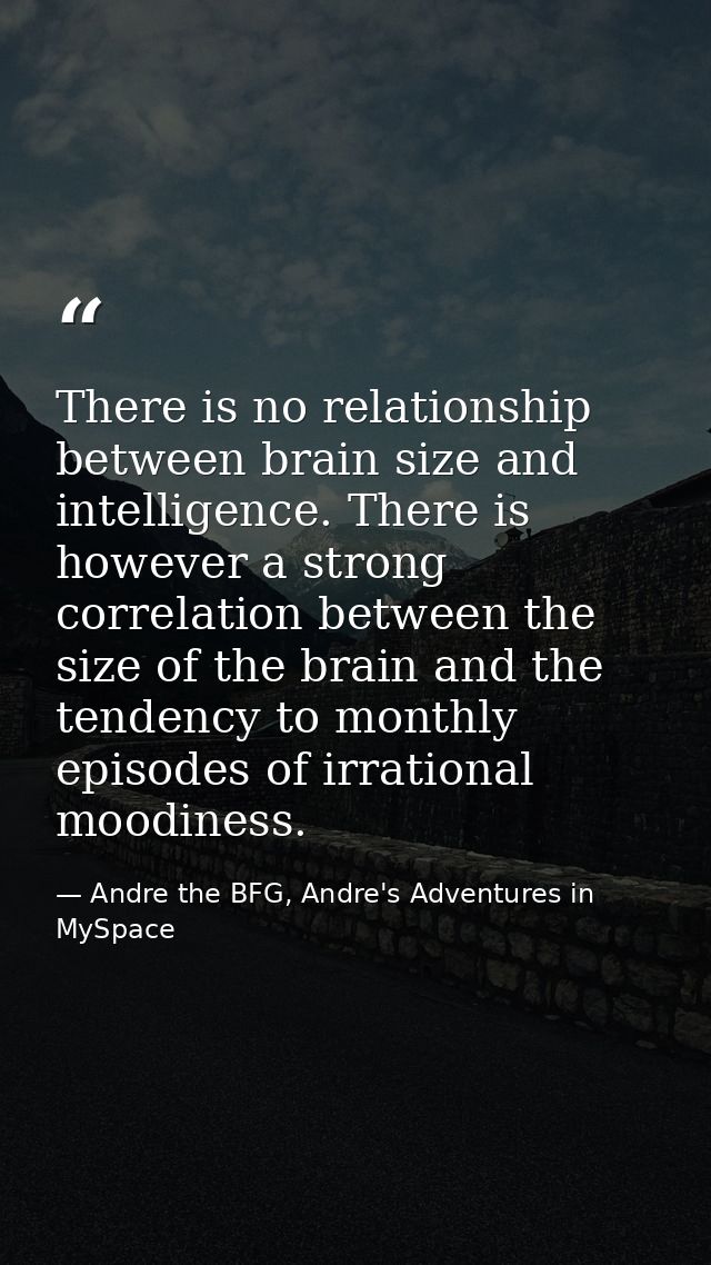 There is no relationship between brain size and intelligence. There is however a strong correlation between the size of  — Andre the BFG, Andre's Adventures in MySpace