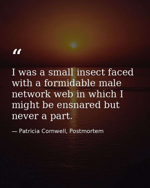 I was a small insect faced with a formidable male network web in which I might be ensnared but never a part. — Patricia Cornwell, Postmortem
