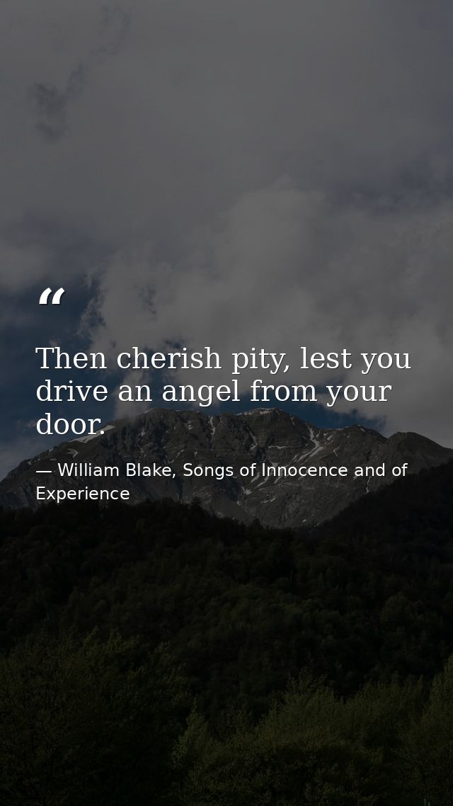 Then cherish pity, lest you drive an angel from your door. — William Blake, Songs of Innocence and of Experience