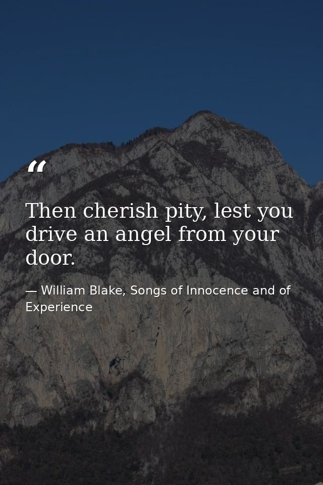 Then cherish pity, lest you drive an angel from your door. — William Blake, Songs of Innocence and of Experience