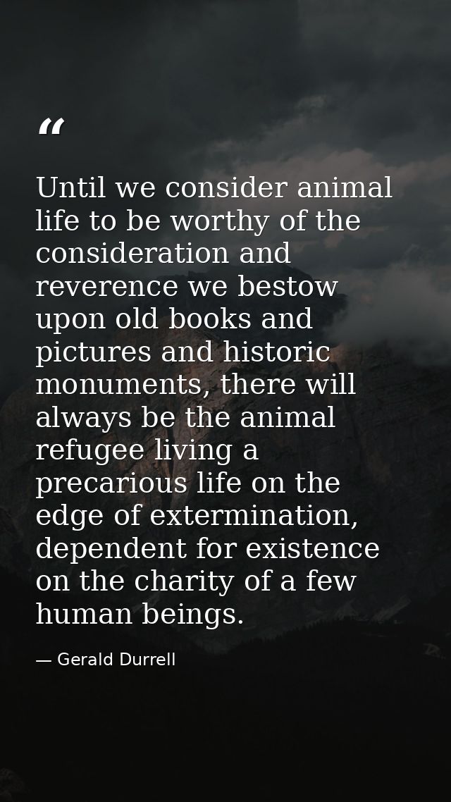 Until we consider animal life to be worthy of the consideration and reverence we bestow upon old books and pictures and  — Gerald Durrell