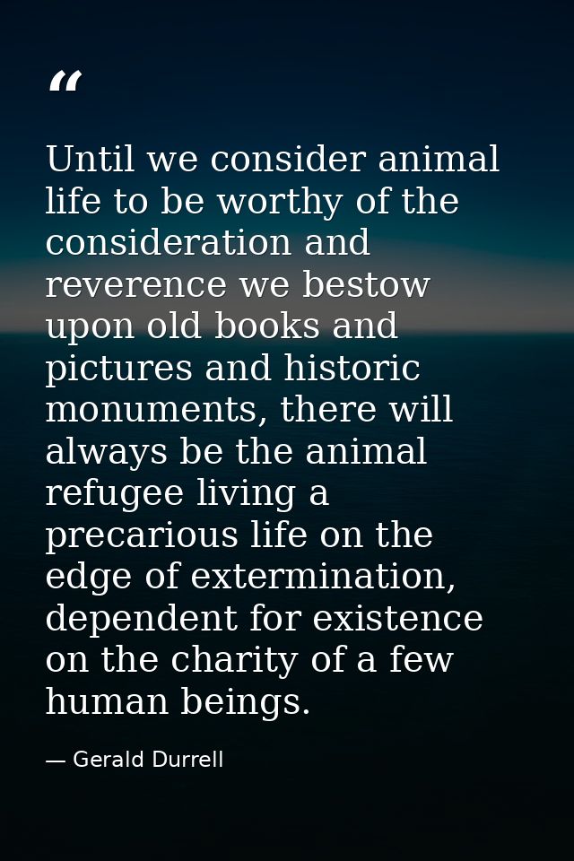 Until we consider animal life to be worthy of the consideration and reverence we bestow upon old books and pictures and  — Gerald Durrell