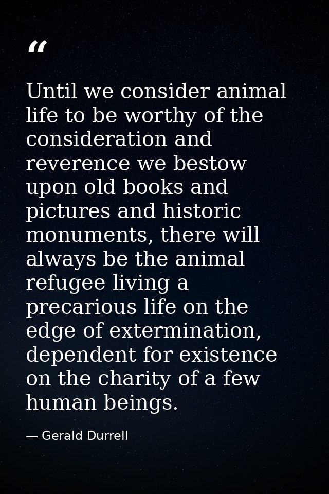 Until we consider animal life to be worthy of the consideration and reverence we bestow upon old books and pictures and  — Gerald Durrell