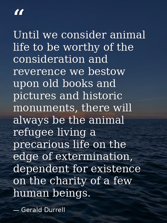 Until we consider animal life to be worthy of the consideration and reverence we bestow upon old books and pictures and  — Gerald Durrell