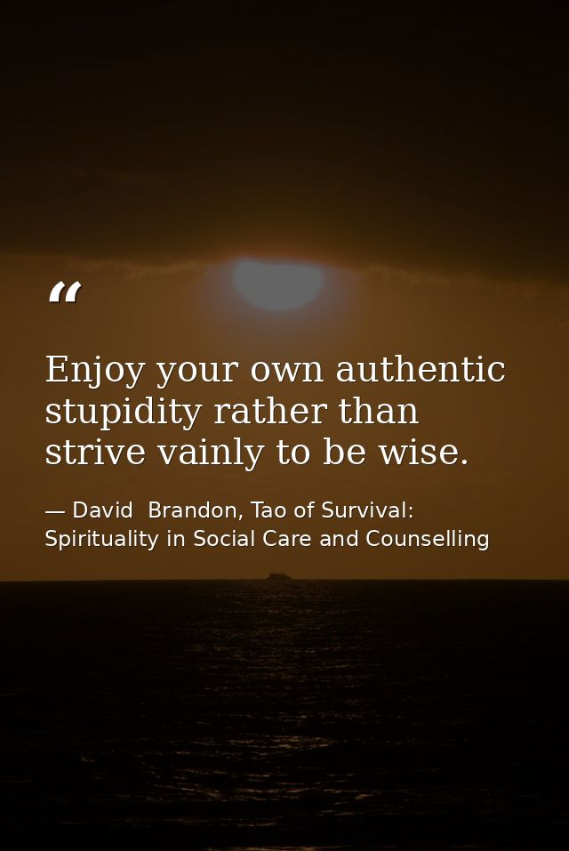Enjoy your own authentic stupidity rather than strive vainly to be wise. — David  Brandon, Tao of Survival: Spirituality in Social Care and Counselling