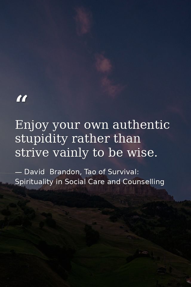 Enjoy your own authentic stupidity rather than strive vainly to be wise. — David  Brandon, Tao of Survival: Spirituality in Social Care and Counselling