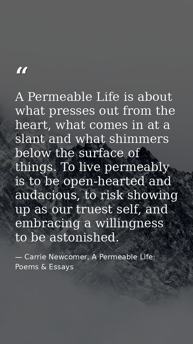 A Permeable Life is about what presses out from the heart, what comes in at a slant and what shimmers below the surface  — Carrie Newcomer, A Permeable Life: Poems & Essays