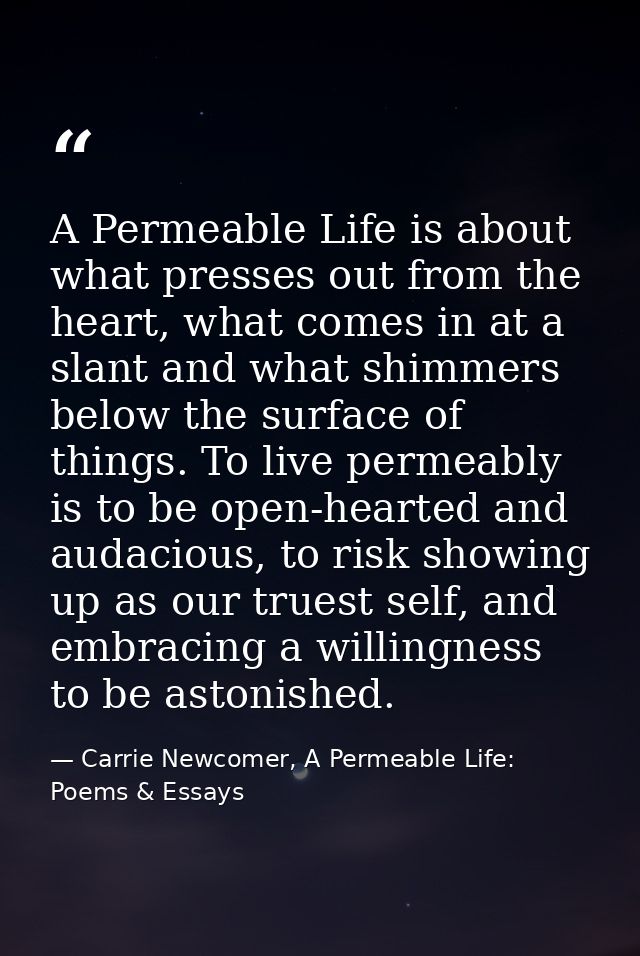 A Permeable Life is about what presses out from the heart, what comes in at a slant and what shimmers below the surface  — Carrie Newcomer, A Permeable Life: Poems & Essays