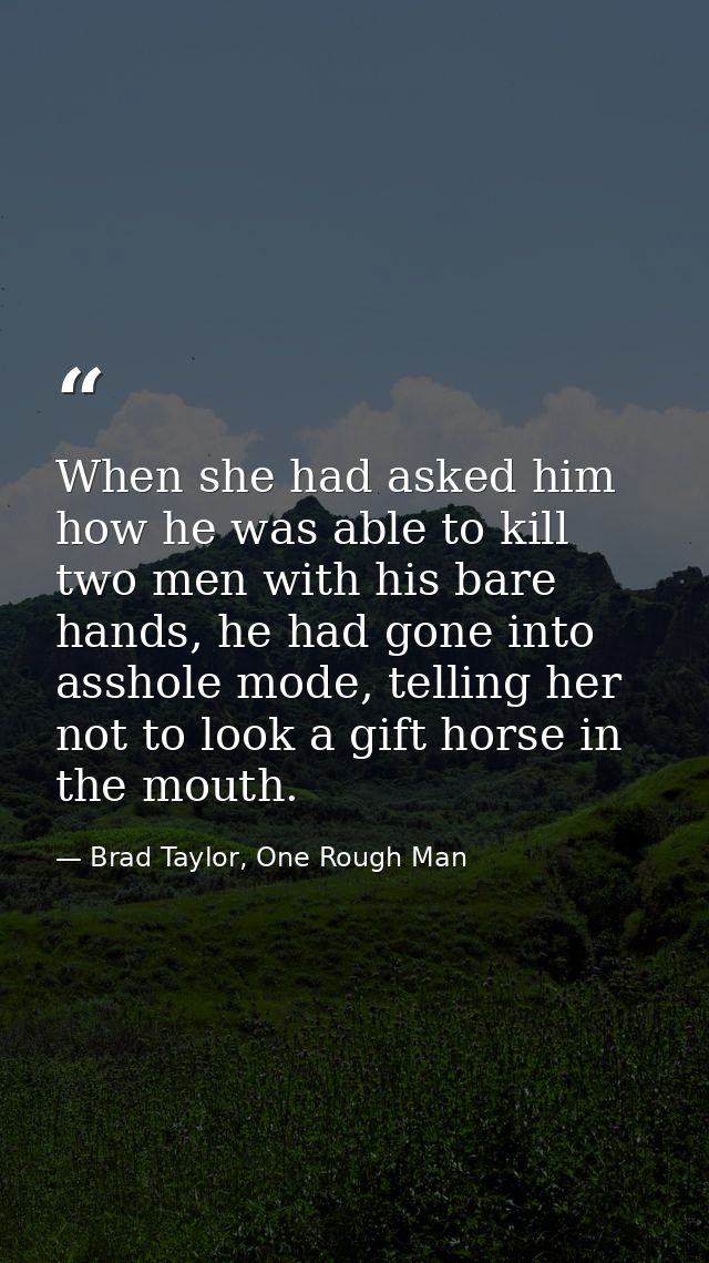 When she had asked him how he was able to kill two men with his bare hands, he had gone into asshole mode, telling her n — Brad Taylor, One Rough Man