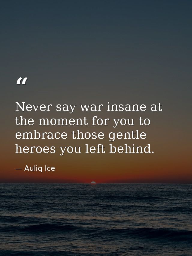 Never say war insane at the moment for you to embrace those gentle heroes you left behind. — Auliq Ice
