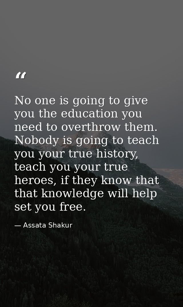 No one is going to give you the education you need to overthrow them. Nobody is going to teach you your true history, te — Assata Shakur
