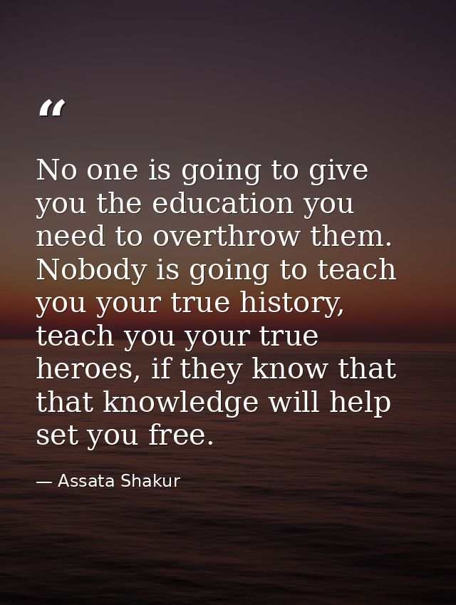 No one is going to give you the education you need to overthrow them. Nobody is going to teach you your true history, te — Assata Shakur