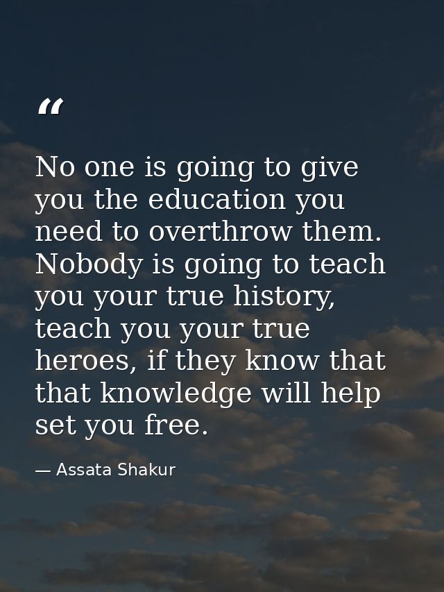 No one is going to give you the education you need to overthrow them. Nobody is going to teach you your true history, te — Assata Shakur
