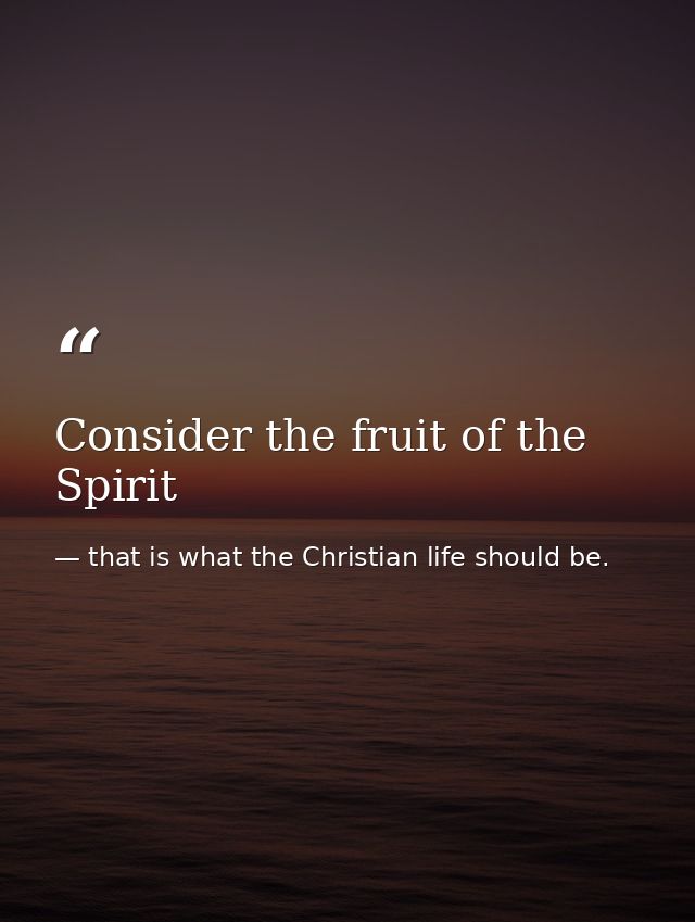 Consider the fruit of the Spirit — that is what the Christian life should be.