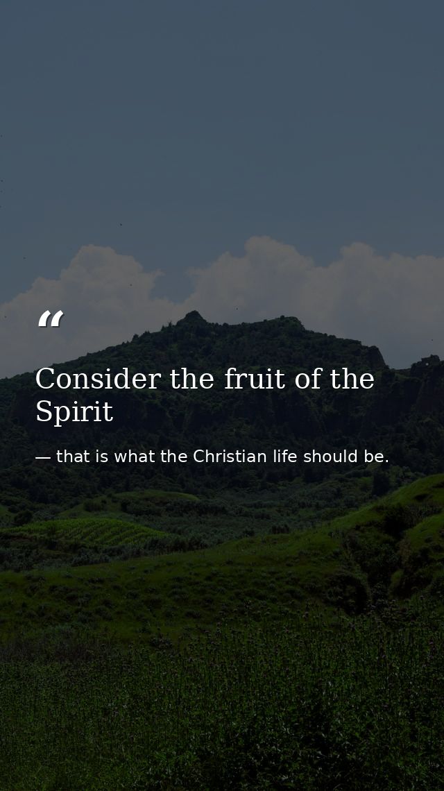 Consider the fruit of the Spirit — that is what the Christian life should be.