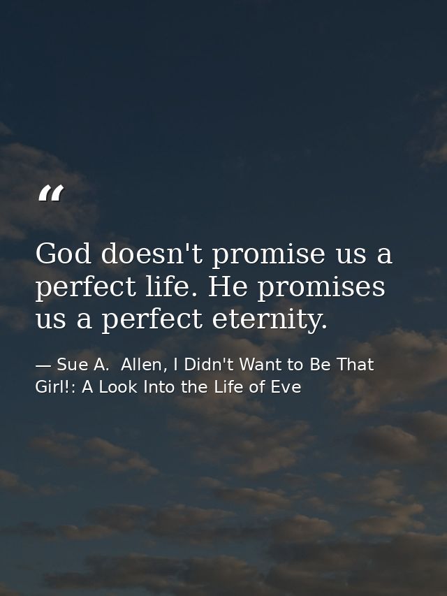 God doesn't promise us a perfect life. He promises us a perfect eternity. — Sue A.  Allen, I Didn't Want to Be That Girl!: A Look Into the Life of Eve