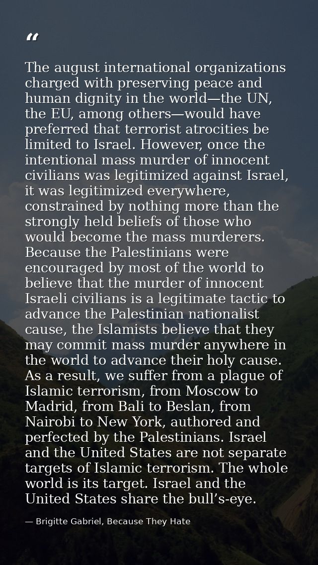 The august international organizations charged with preserving peace and human dignity in the world—the UN, the EU, amon — Brigitte Gabriel, Because They Hate