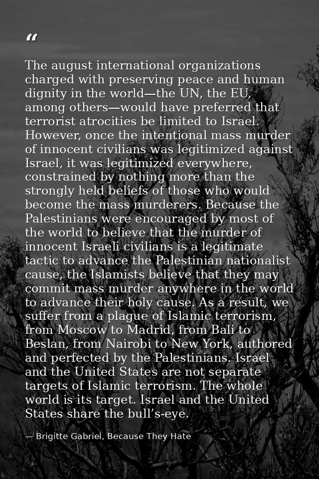 The august international organizations charged with preserving peace and human dignity in the world—the UN, the EU, amon — Brigitte Gabriel, Because They Hate